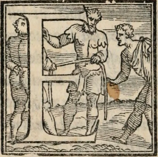 An illustration from Il viluppo : comedia nova, 1547, leaf 11