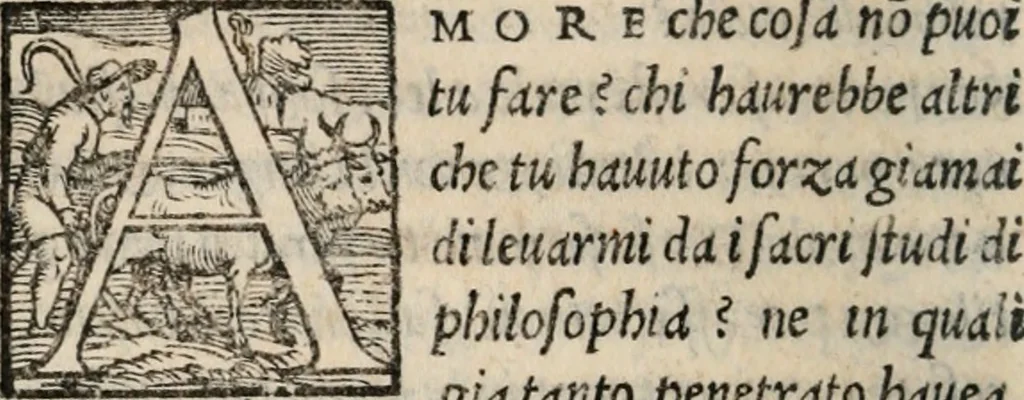 An illustration from Il viluppo : comedia nova, 1547, leaf 31