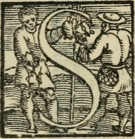 An illustration from Il viluppo : comedia nova, 1547, leaf 4