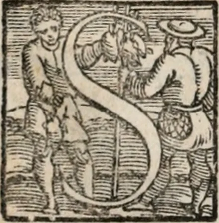 An illustration from Il viluppo : comedia nova, 1547, leaf 53