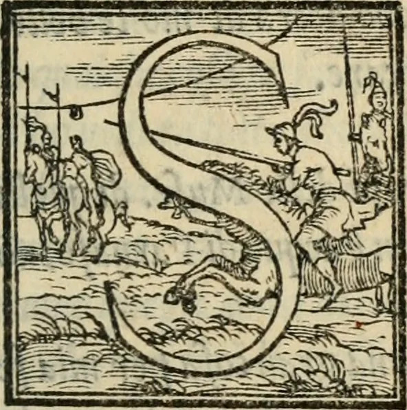 An illustration from Il viluppo : comedia nova, 1547, leaf 6