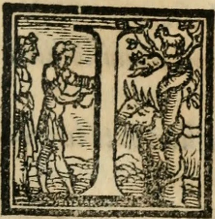 An illustration from Il viluppo : comedia nova, 1547, leaf 80