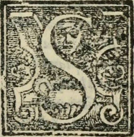 An illustration from Il Vilvppo, comedia nova, 1560, leaf 60