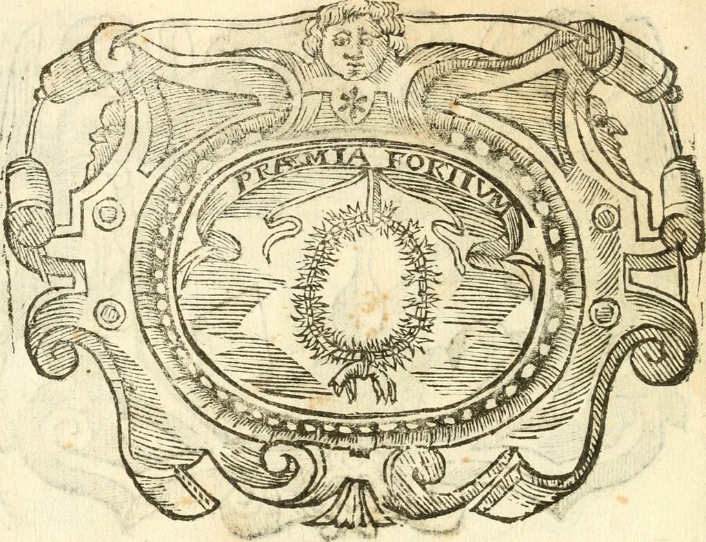 An illustration from Il zodiaco, over, idea di perfettione di prencipi : formata dall'heroiche virtù dell'illvstriss. et eccellentiss. signore D. Antonio Alvarez di Toledo, duca d'Alba vicere di Napoli : rapresentata come in vn trionfo dal fidelissimo popolo napoletano : per opera del dottore Francesco Antonio Scacciauento suo eletto : nella pomposissima festa di San Gio. Battista, celebrata à 23. di giugno 1629. per il settimo anno del suo gouerno, 1630, leaf 109