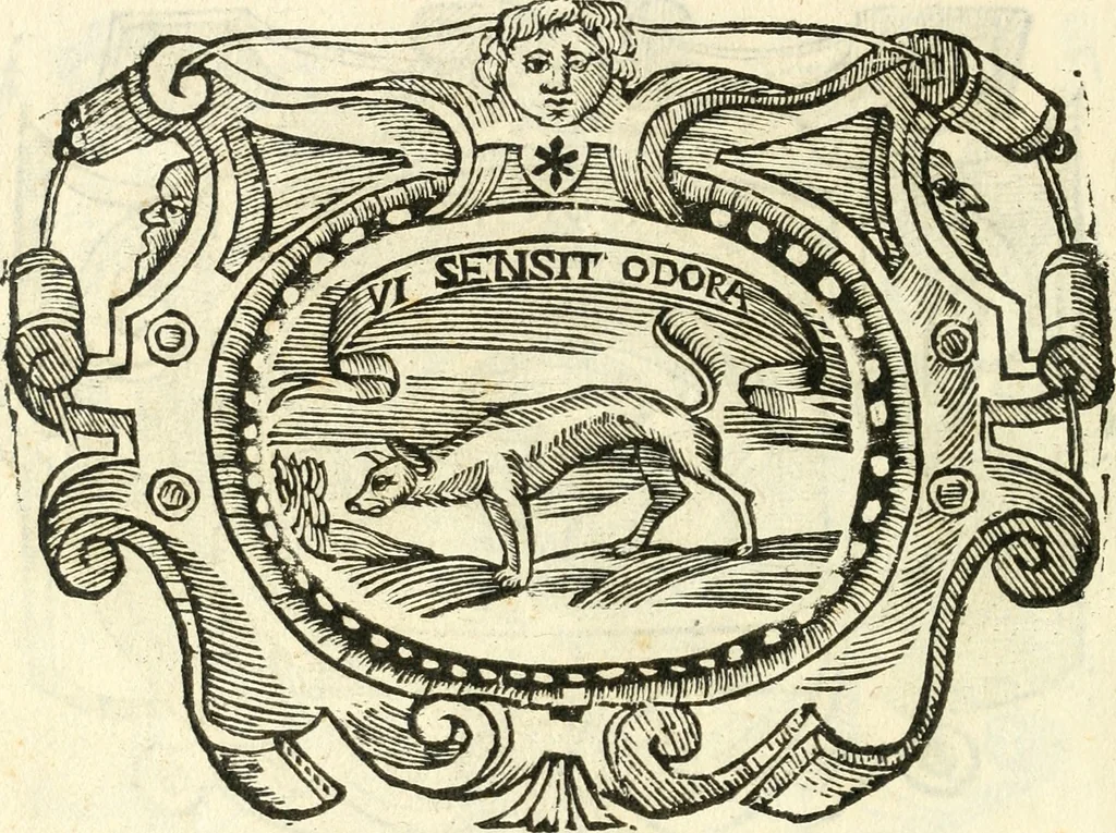 An illustration from Il zodiaco, over, idea di perfettione di prencipi : formata dall'heroiche virtù dell'illvstriss. et eccellentiss. signore D. Antonio Alvarez di Toledo, duca d'Alba vicere di Napoli : rapresentata come in vn trionfo dal fidelissimo popolo napoletano : per opera del dottore Francesco Antonio Scacciauento suo eletto : nella pomposissima festa di San Gio. Battista, celebrata à 23. di giugno 1629. per il settimo anno del suo gouerno, 1630, leaf 217