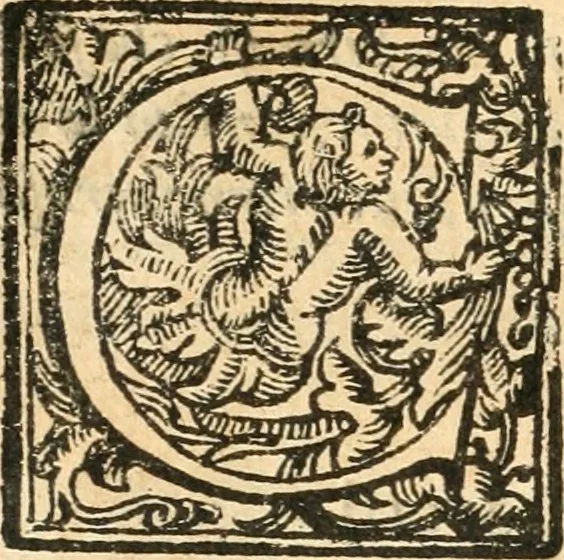 An illustration from Il zodiaco, over, idea di perfettione di prencipi : formata dall'heroiche virtù dell'illvstriss. et eccellentiss. signore D. Antonio Alvarez di Toledo, duca d'Alba vicere di Napoli : rapresentata come in vn trionfo dal fidelissimo popolo napoletano : per opera del dottore Francesco Antonio Scacciauento suo eletto : nella pomposissima festa di San Gio. Battista, celebrata à 23. di giugno 1629. per il settimo anno del suo gouerno, 1630, leaf 267