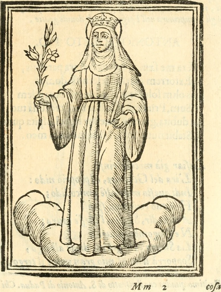An illustration from Il zodiaco, over, idea di perfettione di prencipi : formata dall'heroiche virtù dell'illvstriss. et eccellentiss. signore D. Antonio Alvarez di Toledo, duca d'Alba vicere di Napoli : rapresentata come in vn trionfo dal fidelissimo popolo napoletano : per opera del dottore Francesco Antonio Scacciauento suo eletto : nella pomposissima festa di San Gio. Battista, celebrata à 23. di giugno 1629. per il settimo anno del suo gouerno, 1630, leaf 286
