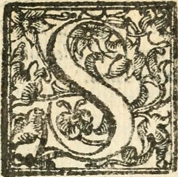 An illustration from Il zodiaco, over, idea di perfettione di prencipi : formata dall'heroiche virtù dell'illvstriss. et eccellentiss. signore D. Antonio Alvarez di Toledo, duca d'Alba vicere di Napoli : rapresentata come in vn trionfo dal fidelissimo popolo napoletano : per opera del dottore Francesco Antonio Scacciauento suo eletto : nella pomposissima festa di San Gio. Battista, celebrata à 23. di giugno 1629. per il settimo anno del suo gouerno, 1630, leaf 297