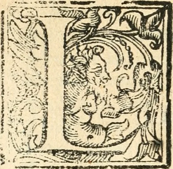 An illustration from Il zodiaco, over, idea di perfettione di prencipi : formata dall'heroiche virtù dell'illvstriss. et eccellentiss. signore D. Antonio Alvarez di Toledo, duca d'Alba vicere di Napoli : rapresentata come in vn trionfo dal fidelissimo popolo napoletano : per opera del dottore Francesco Antonio Scacciauento suo eletto : nella pomposissima festa di San Gio. Battista, celebrata à 23. di giugno 1629. per il settimo anno del suo gouerno, 1630, leaf 335