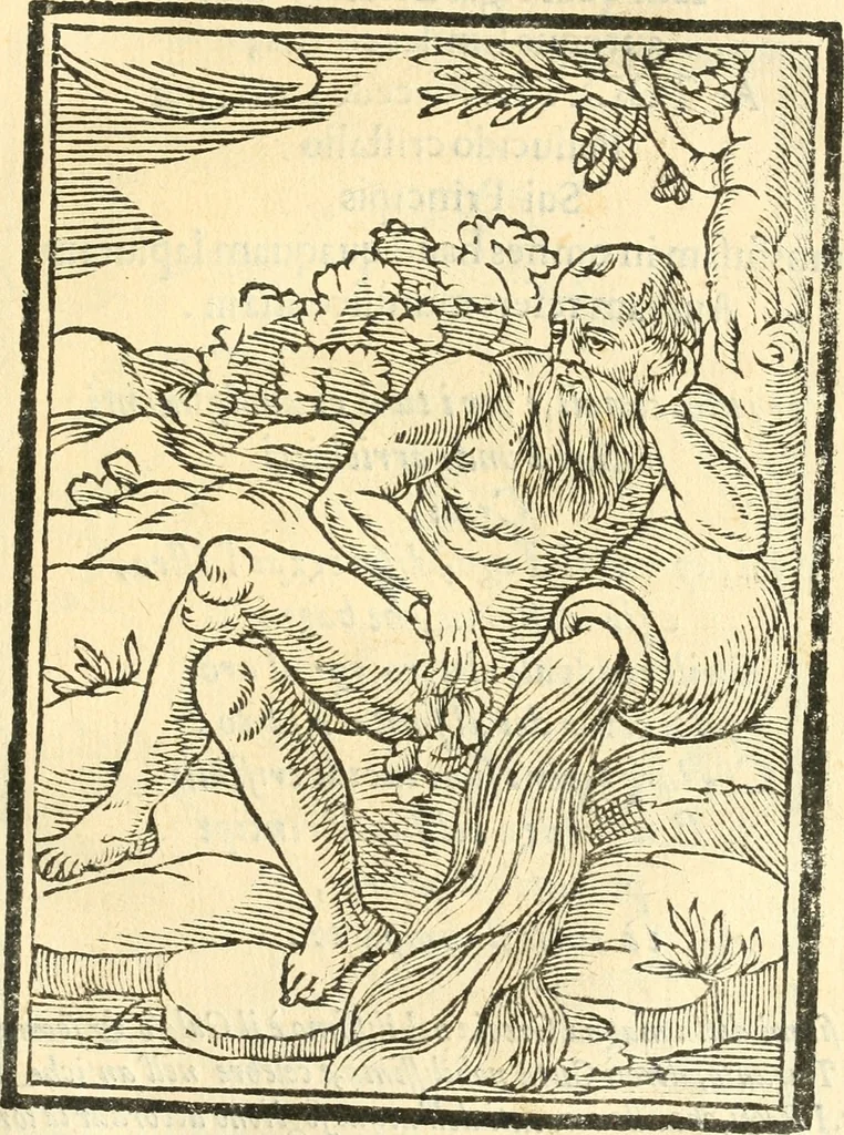 An illustration from Il zodiaco, over, idea di perfettione di prencipi : formata dall'heroiche virtù dell'illvstriss. et eccellentiss. signore D. Antonio Alvarez di Toledo, duca d'Alba vicere di Napoli : rapresentata come in vn trionfo dal fidelissimo popolo napoletano : per opera del dottore Francesco Antonio Scacciauento suo eletto : nella pomposissima festa di San Gio. Battista, celebrata à 23. di giugno 1629. per il settimo anno del suo gouerno, 1630, leaf 392