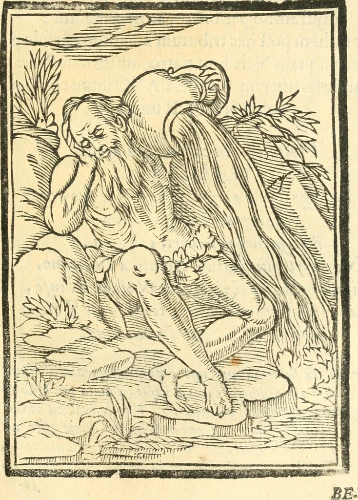 An illustration from Il zodiaco, over, idea di perfettione di prencipi : formata dall'heroiche virtù dell'illvstriss. et eccellentiss. signore D. Antonio Alvarez di Toledo, duca d'Alba vicere di Napoli : rapresentata come in vn trionfo dal fidelissimo popolo napoletano : per opera del dottore Francesco Antonio Scacciauento suo eletto : nella pomposissima festa di San Gio. Battista, celebrata à 23. di giugno 1629. per il settimo anno del suo gouerno, 1630, leaf 394