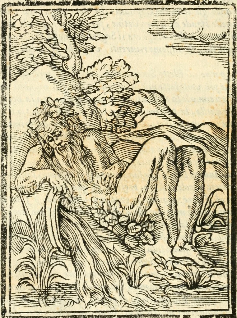 An illustration from Il zodiaco, over, idea di perfettione di prencipi : formata dall'heroiche virtù dell'illvstriss. et eccellentiss. signore D. Antonio Alvarez di Toledo, duca d'Alba vicere di Napoli : rapresentata come in vn trionfo dal fidelissimo popolo napoletano : per opera del dottore Francesco Antonio Scacciauento suo eletto : nella pomposissima festa di San Gio. Battista, celebrata à 23. di giugno 1629. per il settimo anno del suo gouerno, 1630, leaf 403