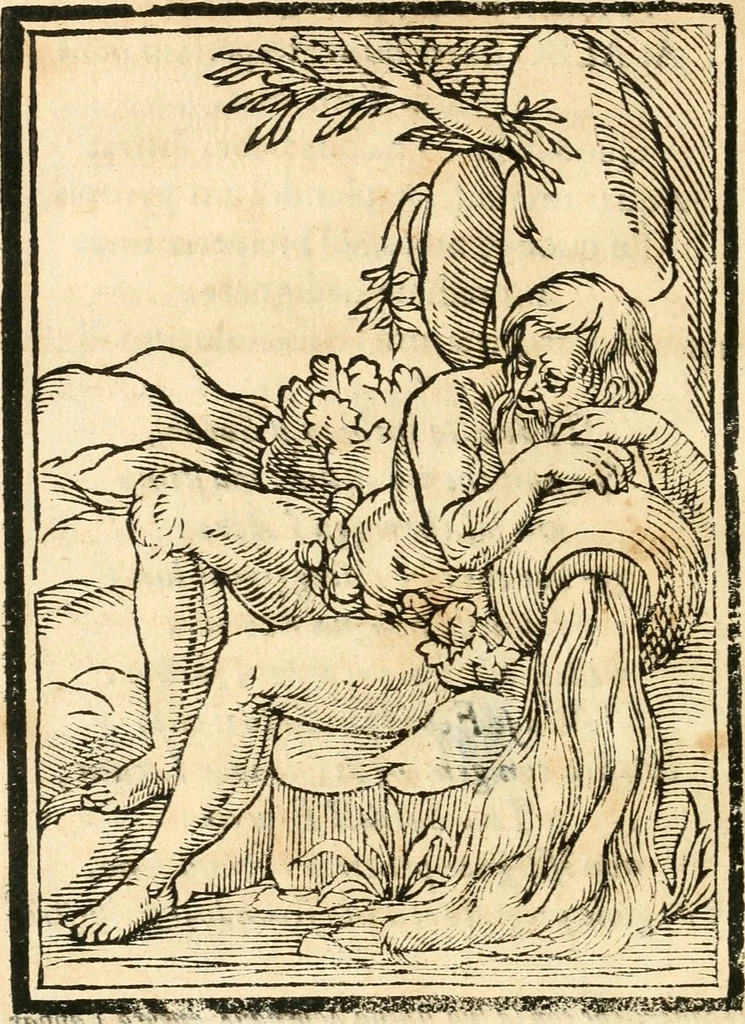 An illustration from Il zodiaco, over, idea di perfettione di prencipi : formata dall'heroiche virtù dell'illvstriss. et eccellentiss. signore D. Antonio Alvarez di Toledo, duca d'Alba vicere di Napoli : rapresentata come in vn trionfo dal fidelissimo popolo napoletano : per opera del dottore Francesco Antonio Scacciauento suo eletto : nella pomposissima festa di San Gio. Battista, celebrata à 23. di giugno 1629. per il settimo anno del suo gouerno, 1630, leaf 409