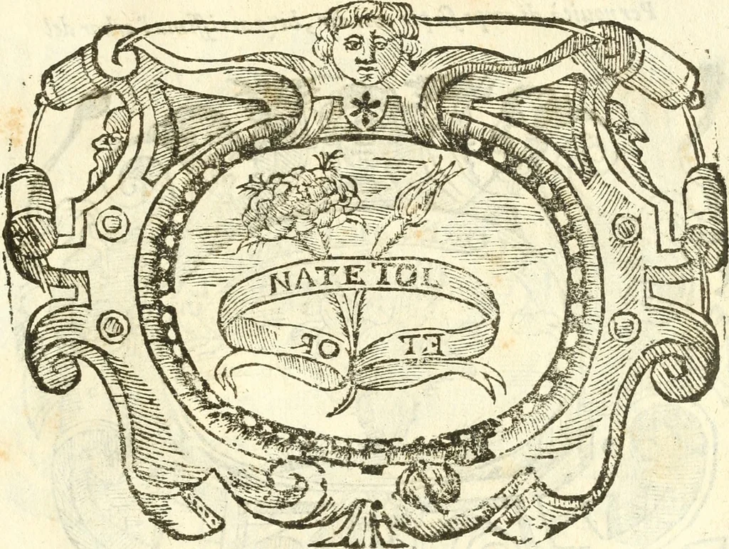 An illustration from Il zodiaco, over, idea di perfettione di prencipi : formata dall'heroiche virtù dell'illvstriss. et eccellentiss. signore D. Antonio Alvarez di Toledo, duca d'Alba vicere di Napoli : rapresentata come in vn trionfo dal fidelissimo popolo napoletano : per opera del dottore Francesco Antonio Scacciauento suo eletto : nella pomposissima festa di San Gio. Battista, celebrata à 23. di giugno 1629. per il settimo anno del suo gouerno, 1630, leaf 498