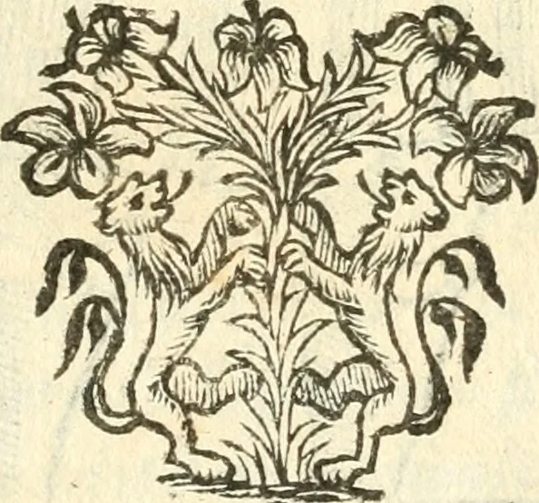 An illustration from Il zodiaco, over, idea di perfettione di prencipi : formata dall'heroiche virtù dell'illvstriss. et eccellentiss. signore D. Antonio Alvarez di Toledo, duca d'Alba vicere di Napoli : rapresentata come in vn trionfo dal fidelissimo popolo napoletano : per opera del dottore Francesco Antonio Scacciauento suo eletto : nella pomposissima festa di San Gio. Battista, celebrata à 23. di giugno 1629. per il settimo anno del suo gouerno, 1630, leaf 78