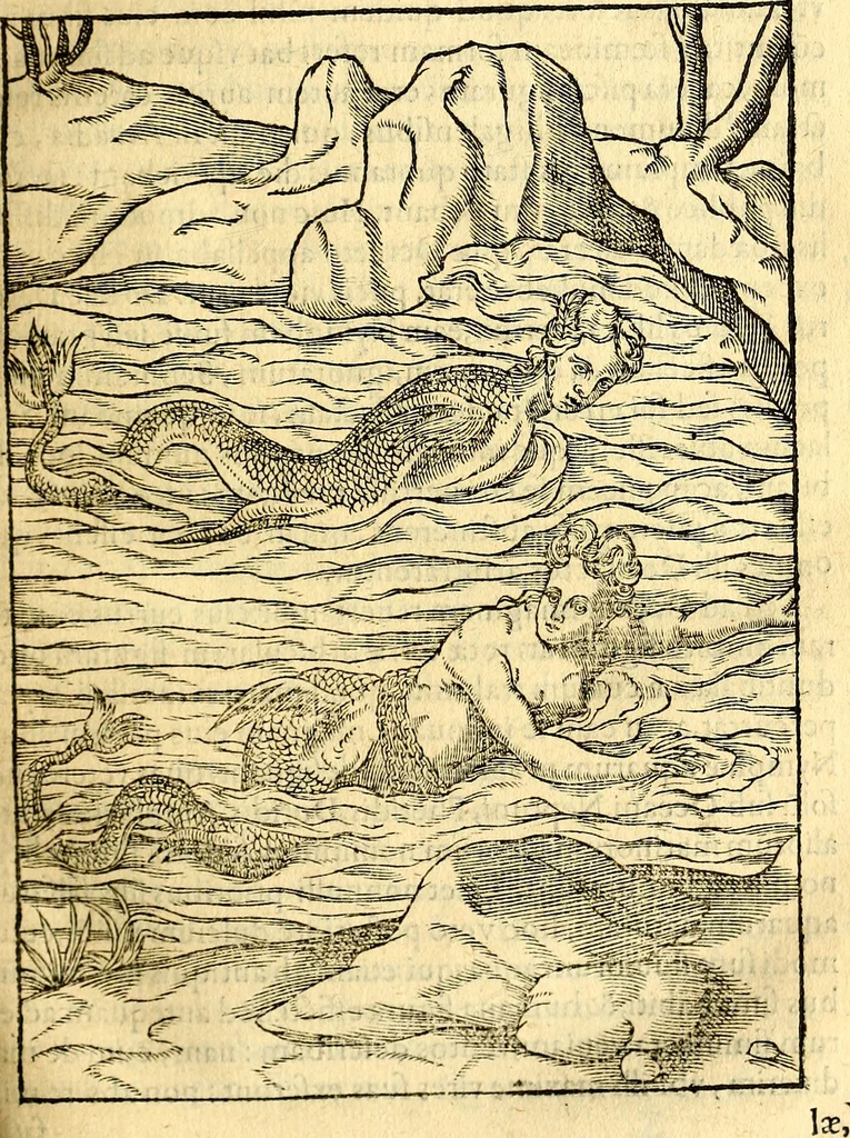 An illustration from Imagines deorum, qui ab antiquis colebantur : in quibus simulacra, ritus, caerimoniae, magnaq[ue] ex parte veterum religio explicatur, 1581, leaf 188