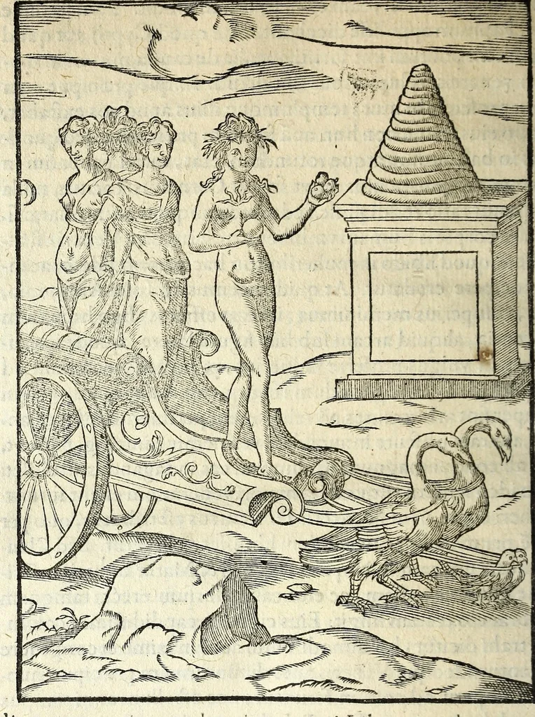 An illustration from Imagines deorvm, qvi ab antiqvis colebantvr : in quibus simulacra, ritus, caerimoniae, magnaq[ue] ex parte veterum religio explicatur : olim a Vincentio Chartario Rhegiensi ex variis auctoribus in vnum collectae, atque italica lingua expositae, 1581, leaf 352