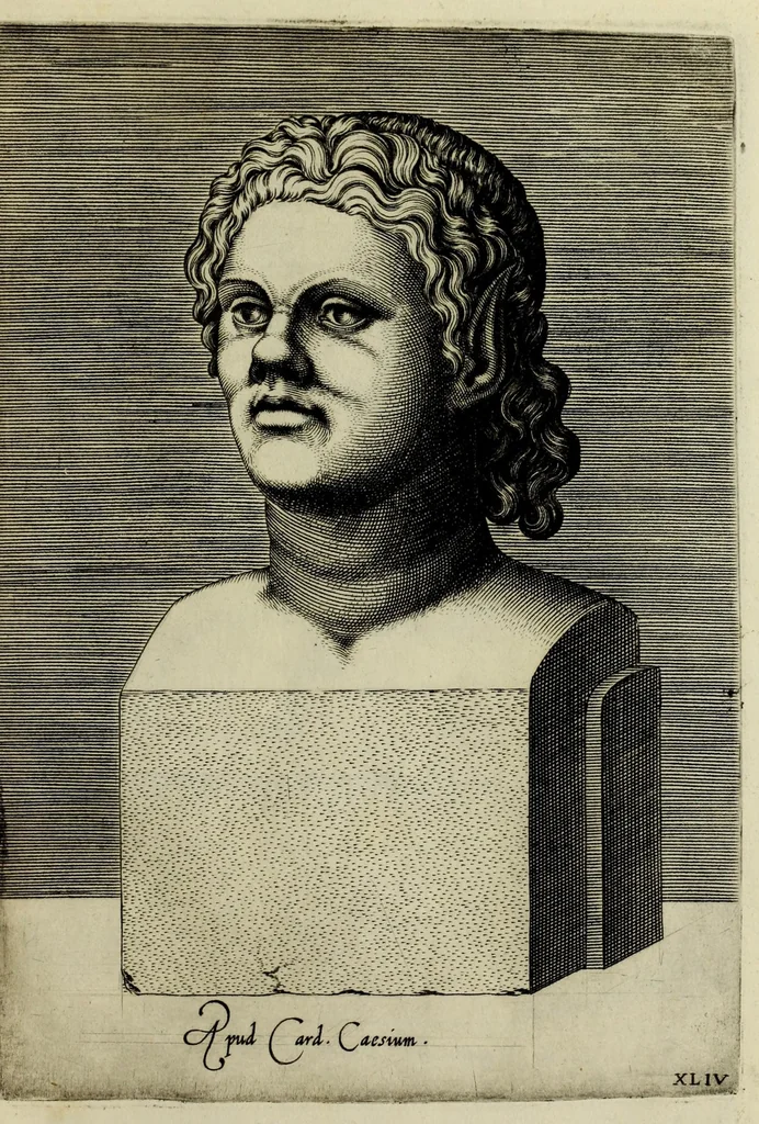 An illustration from Imagines et elogia virorum illustrium et eruditor ex antiquis lapidibus et nomismatib., 1570, leaf 211