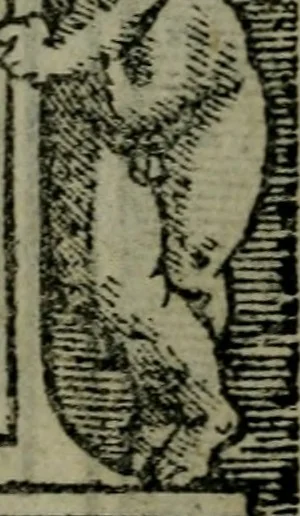 An illustration from Illvstrivm imagines, 1517, leaf 36