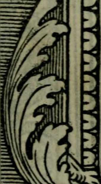 An illustration from Illvstrivm imagines, 1517, leaf 38