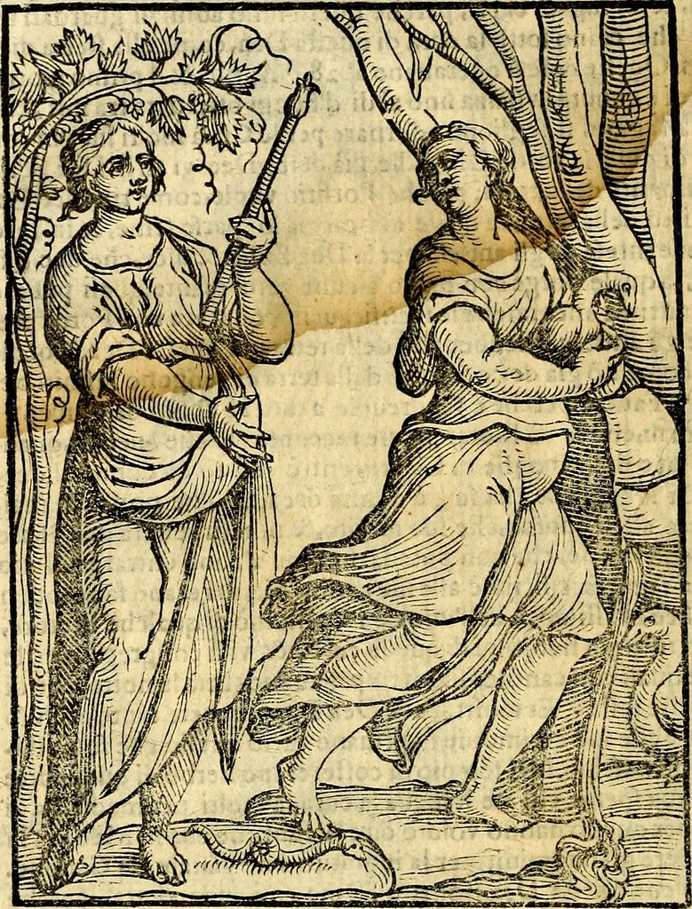 An illustration from Imagini delli dei de gl'antichi, 1647, leaf 161