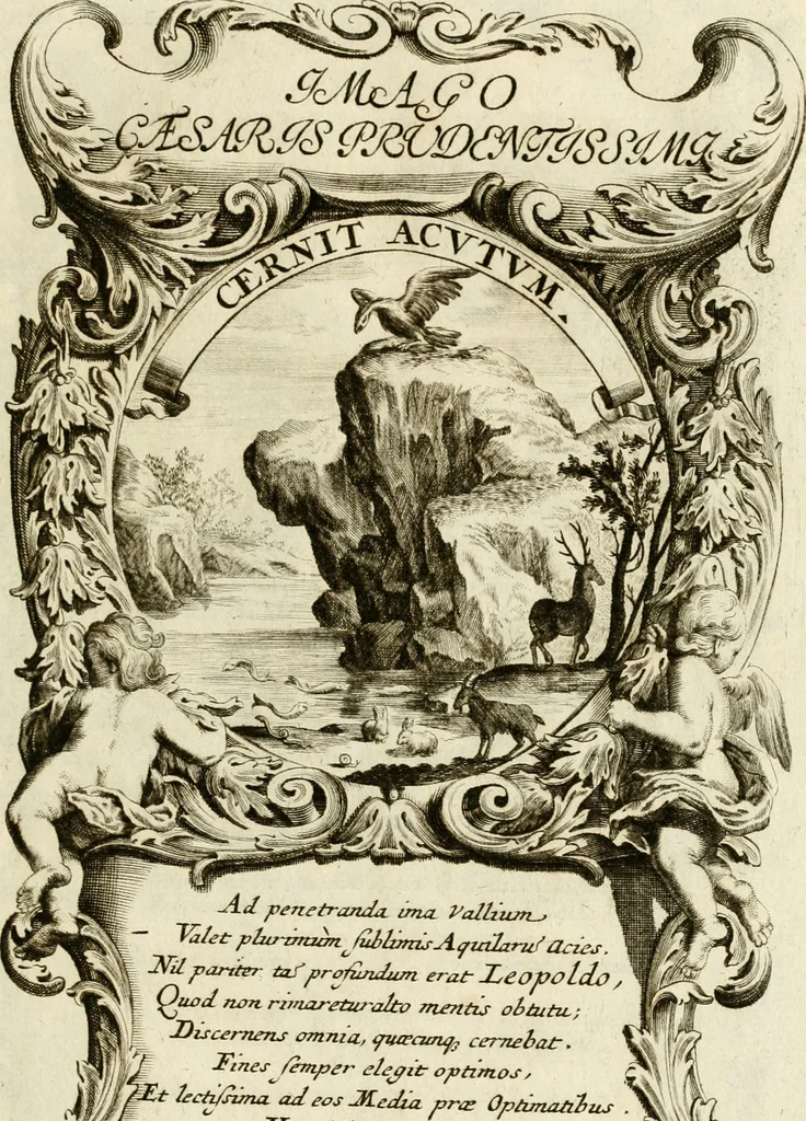 An illustration from Imago Caesaris : kayserliche Tugend-Bildnuss in Leopoldo dem Ersten, und Grossen, weyland höchst-seeligisten, und glorreichisten Angedenckens Römischen Kayser, u. u. : bey dem hoch-ansehenlichen Traur-Berüst und drey-tägiger Leich-Begängnusz, den 25. 26. und 27. Junij vorgestellet, 1705, leaf 68