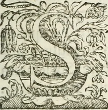 An illustration from Imago primi sæcvli Societatis Iesv a Provincia Flandro-Belgica eivsdem Societatis repræsentata .., 1640, leaf 40