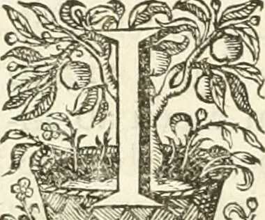 An illustration from Imago primi sæcvli Societatis Iesv a Provincia Flandro-Belgica eivsdem Societatis repræsentata .., 1640, leaf 415