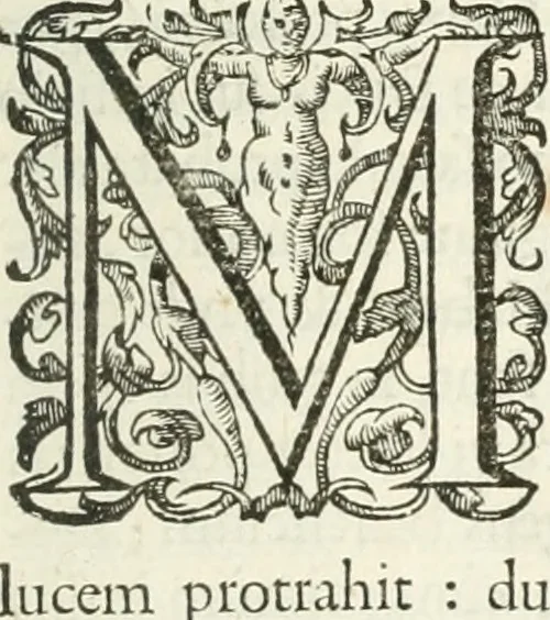 An illustration from Imago primi sæcvli Societatis Iesv a Provincia Flandro-Belgica eivsdem Societatis repræsentata .., 1640, leaf 496