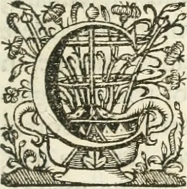 An illustration from Imago primi sæcvli Societatis Iesv a Provincia Flandro-Belgica eivsdem Societatis repræsentata .., 1640, leaf 552