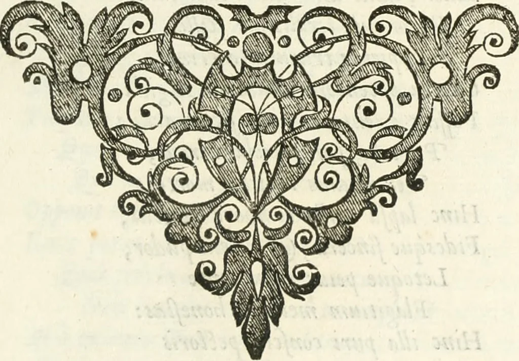 An illustration from Imago primi sæcvli Societatis Iesv a Provincia Flandro-Belgica eivsdem Societatis repræsentata .., 1640, leaf 576