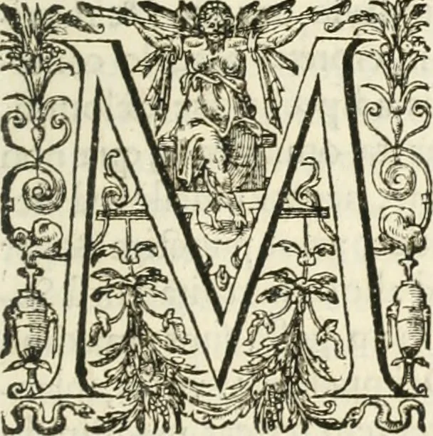 An illustration from Imago primi sæcvli Societatis Iesv a Provincia Flandro-Belgica eivsdem Societatis repræsentata .., 1640, leaf 596