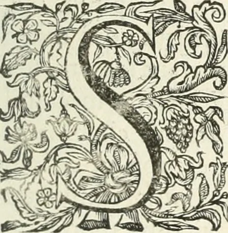 An illustration from Imago primi sæcvli Societatis Iesv a Provincia Flandro-Belgica eivsdem Societatis repræsentata .., 1640, leaf 68
