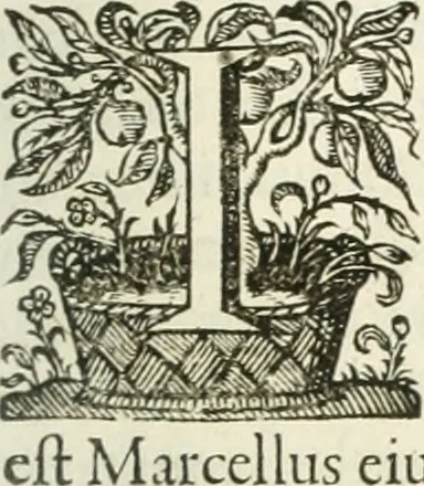 An illustration from Imago primi sæcvli Societatis Iesv a Provincia Flandro-Belgica eivsdem Societatis repræsentata .., 1640, leaf 698