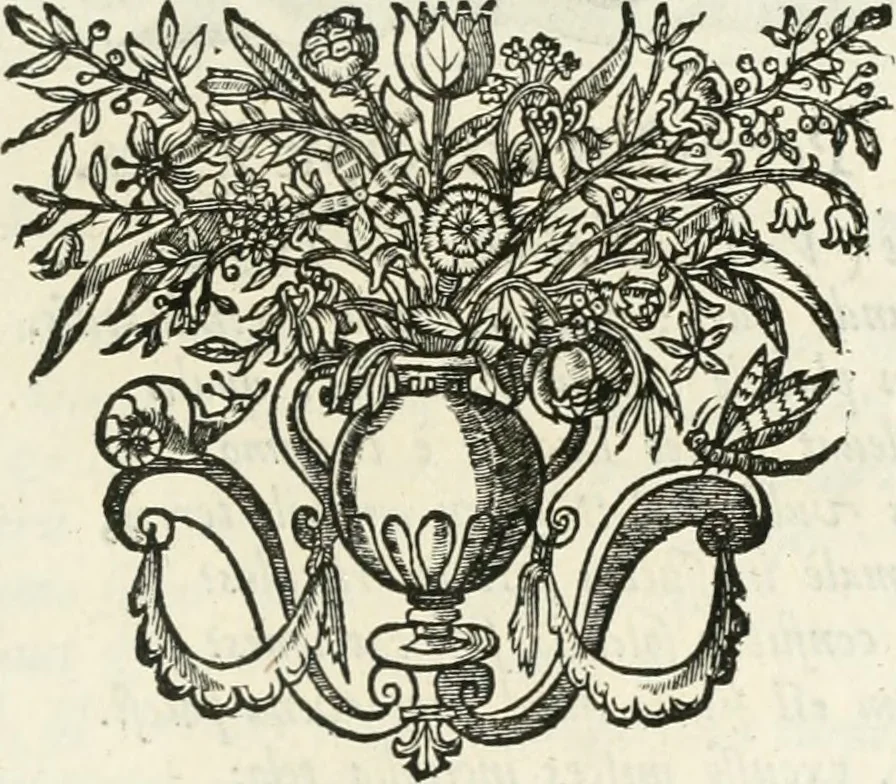An illustration from Imago primi sæcvli Societatis Iesv a Provincia Flandro-Belgica eivsdem Societatis repræsentata .., 1640, leaf 728