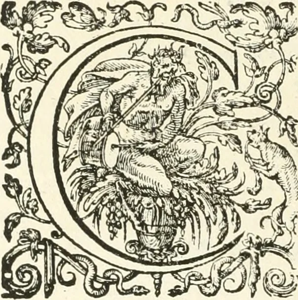An illustration from Imago primi sæcvli Societatis Iesv a Provincia Flandro-Belgica eivsdem Societatis repræsentata .., 1640, leaf 743