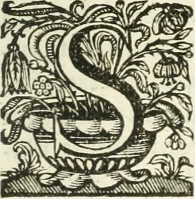 An illustration from Imago primi sæcvli Societatis Iesv a Provincia Flandro-Belgica eivsdem Societatis repræsentata .., 1640, leaf 906