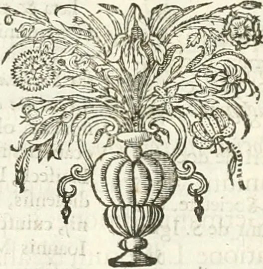 An illustration from Imago primi sæcvli Societatis Iesv a Provincia Flandro-Belgica eivsdem Societatis repræsentata .., 1640, leaf 987