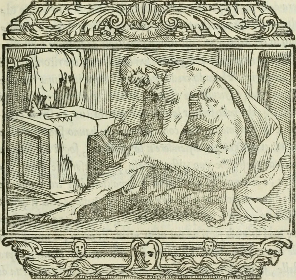 An illustration from I marmi del Doni, academico peregrino, 1552, leaf 100