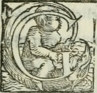 An illustration from I marmi del Doni, academico peregrino, 1552, leaf 134