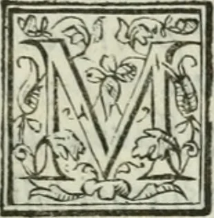 An illustration from I marmi del Doni, academico peregrino, 1552, leaf 152