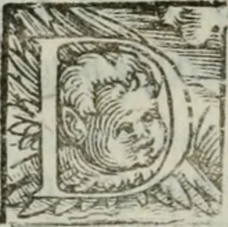 An illustration from I marmi del Doni, academico peregrino, 1552, leaf 159