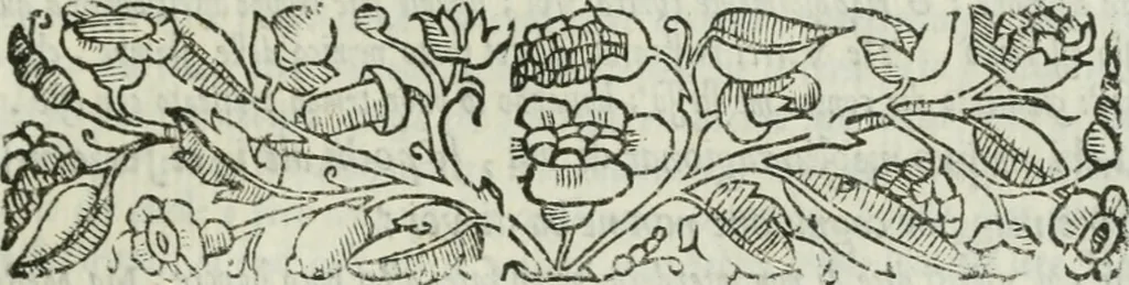 An illustration from I marmi del Doni, academico peregrino, 1552, leaf 176