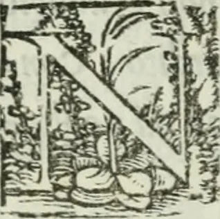 An illustration from I marmi del Doni, academico peregrino, 1552, leaf 176