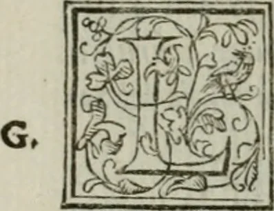 An illustration from I marmi del Doni, academico peregrino, 1552, leaf 21