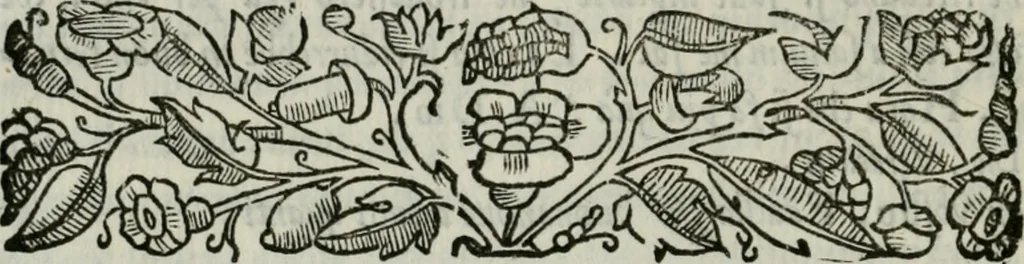 An illustration from I marmi del Doni, academico peregrino, 1552, leaf 217
