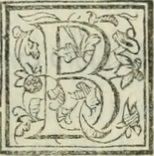 An illustration from I marmi del Doni, academico peregrino, 1552, leaf 222