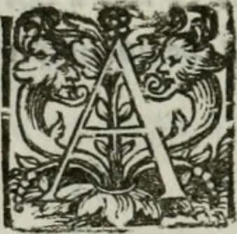 An illustration from I marmi del Doni, academico peregrino, 1552, leaf 233