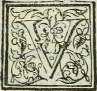 An illustration from I marmi del Doni, academico peregrino, 1552, leaf 244