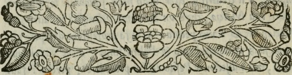 An illustration from I marmi del Doni, academico peregrino, 1552, leaf 255